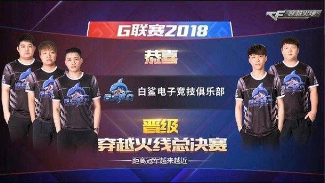 关注的原因 关注的原因