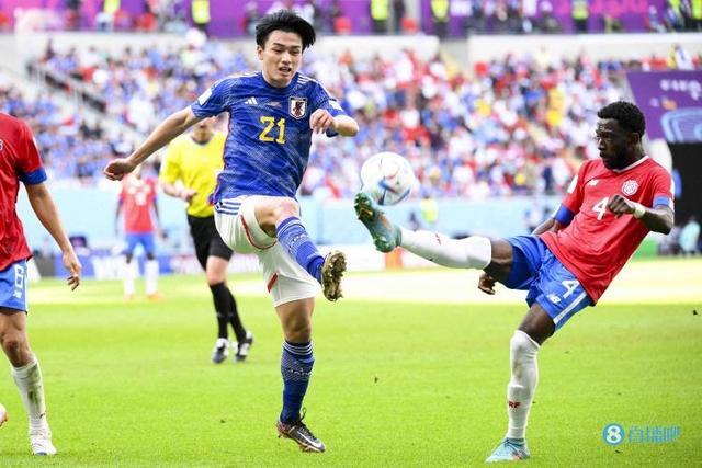 花的引援策 花的引援策